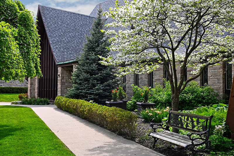 An Evening in Carolinian Canada