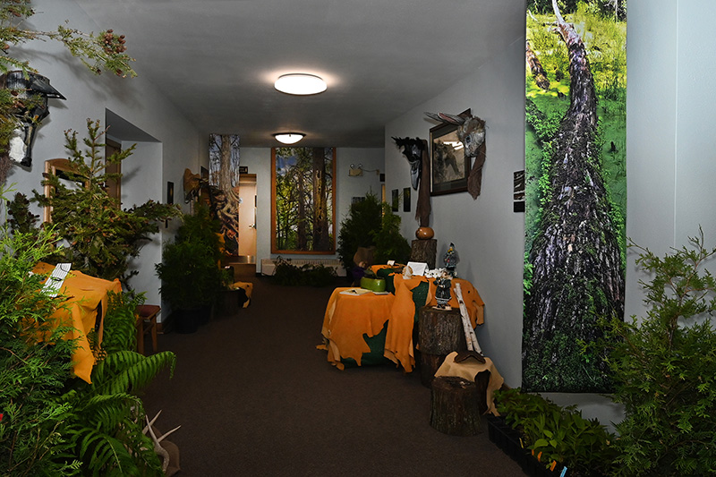 An Evening in Carolinian Canada