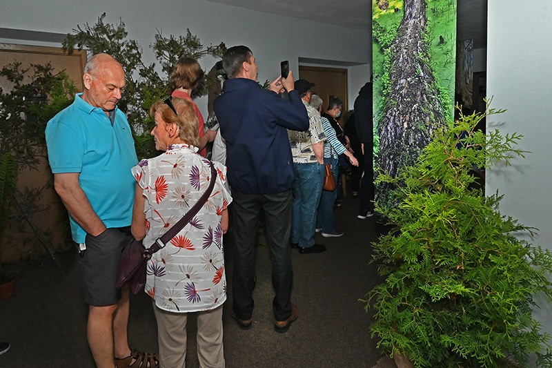 An Evening in Carolinian Canada