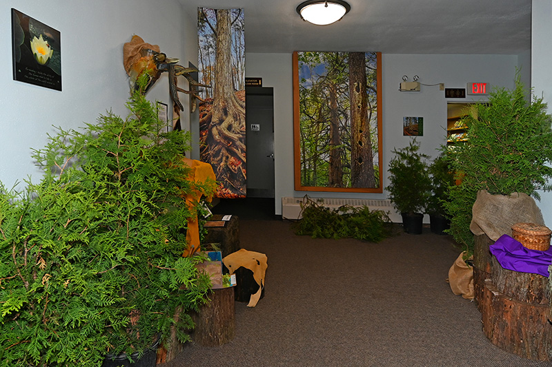 An Evening in Carolinian Canada