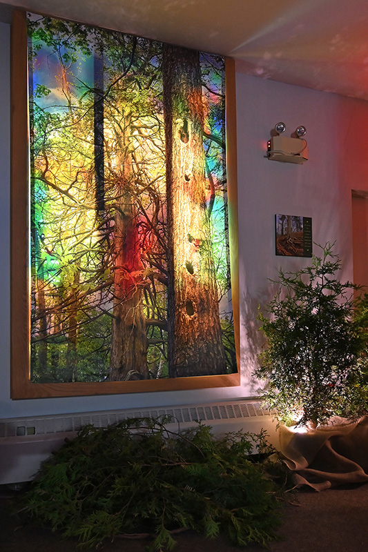 An Evening in Carolinian Canada