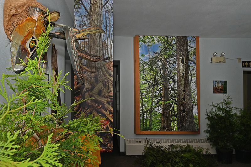 An Evening in Carolinian Canada