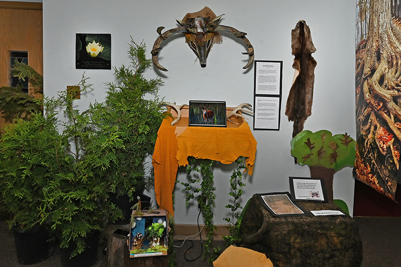 An Evening in Carolinian Canada