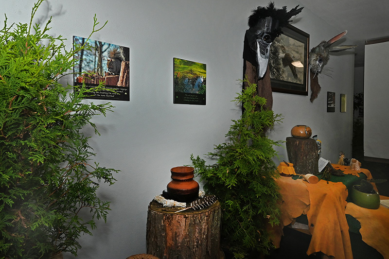 An Evening in Carolinian Canada