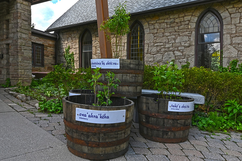 An Evening in Carolinian Canada