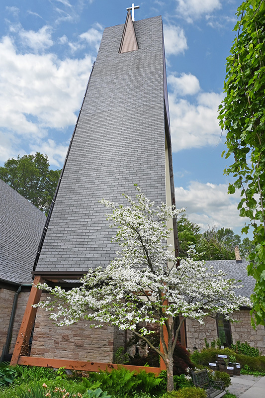 An Evening in Carolinian Canada