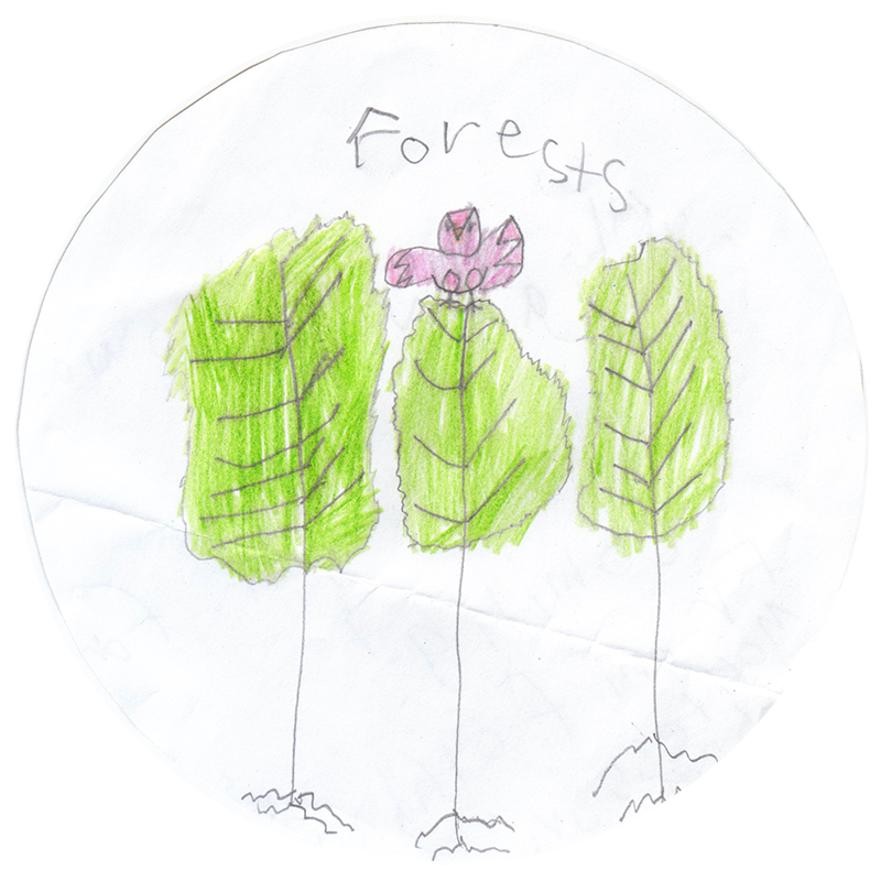 An Evening in Carolinian Canada