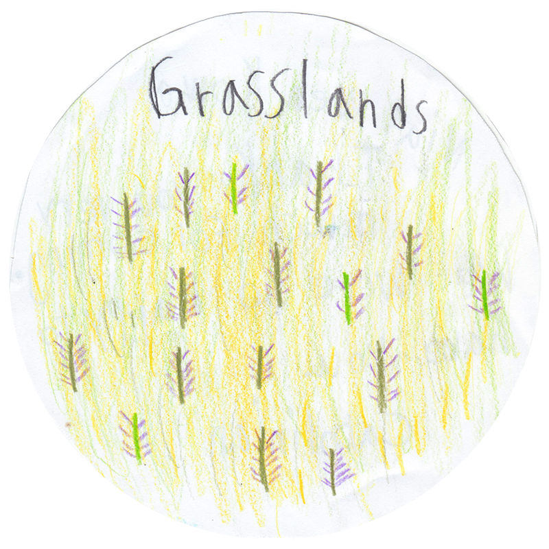 An Evening in Carolinian Canada