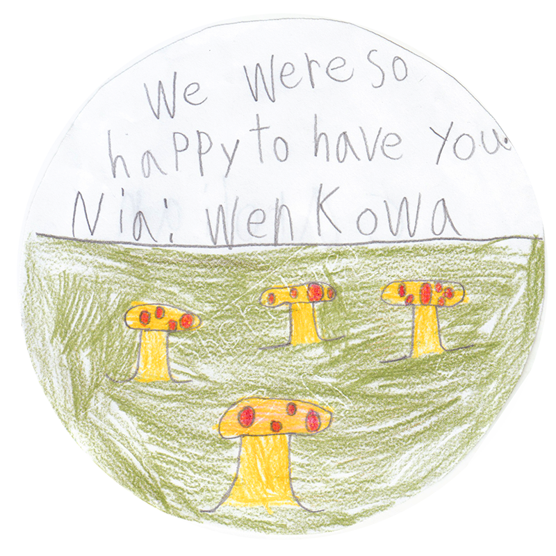 An Evening in Carolinian Canada