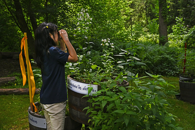 Foundations Montessori School Nature Photography Class