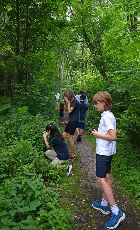 Foundations Montessori School Nature Photography Class