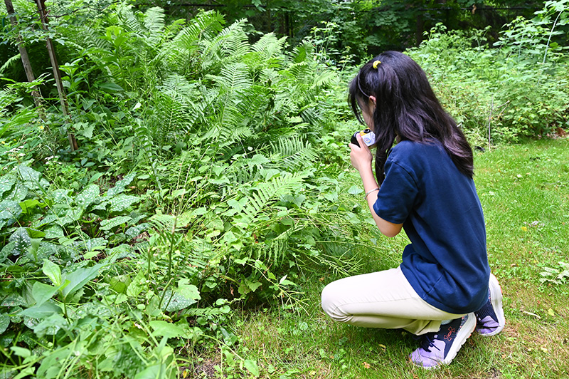 Foundations Montessori School Nature Photography Class