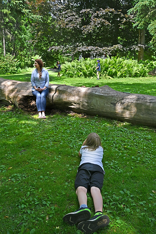 Foundations Montessori School Nature Photography Class