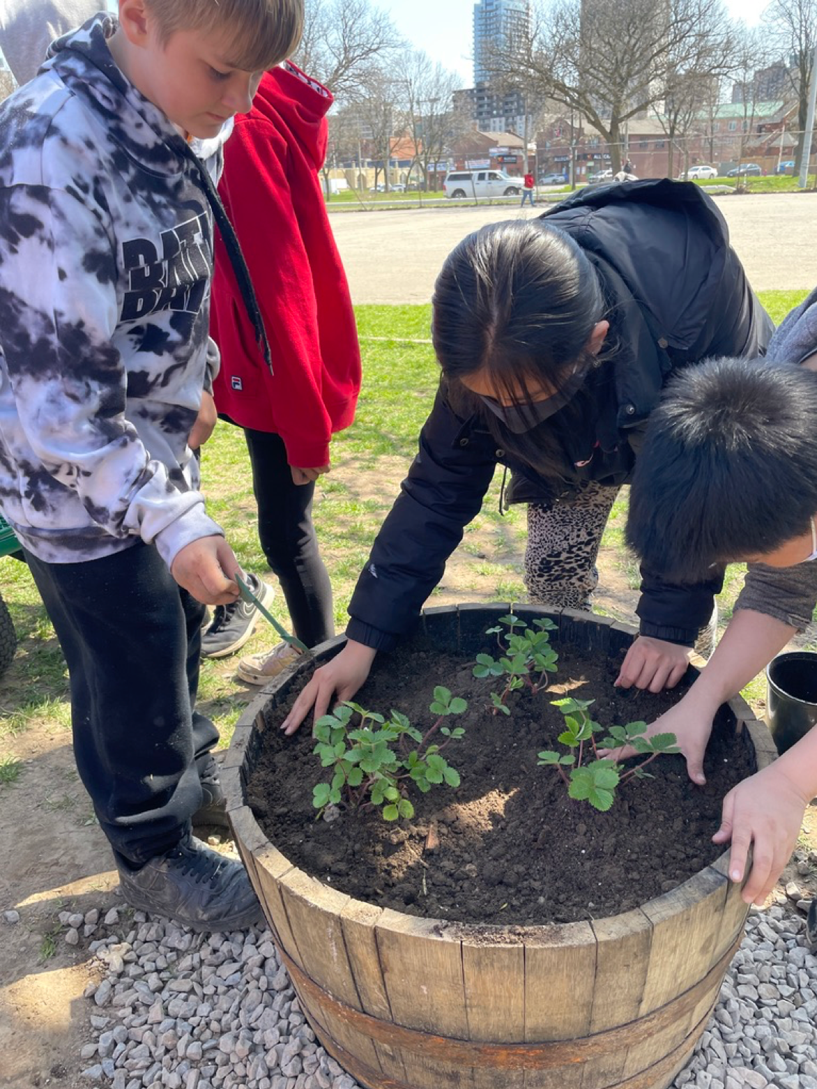 Elders Teaching Traditional Plant Science