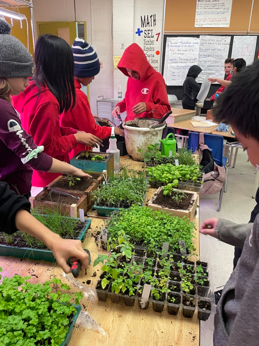 Elders Teaching Traditional Plant Science