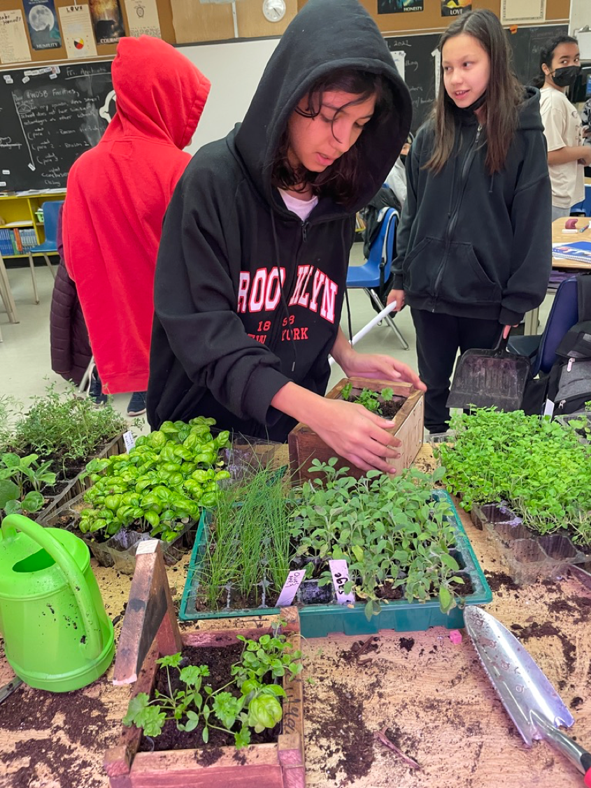 Elders Teaching Traditional Plant Science