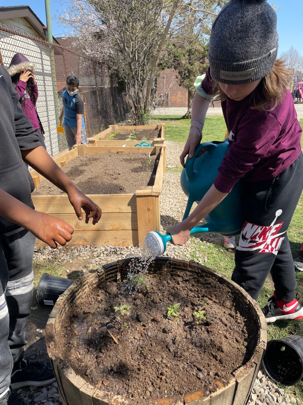 Elders Teaching Traditional Plant Science
