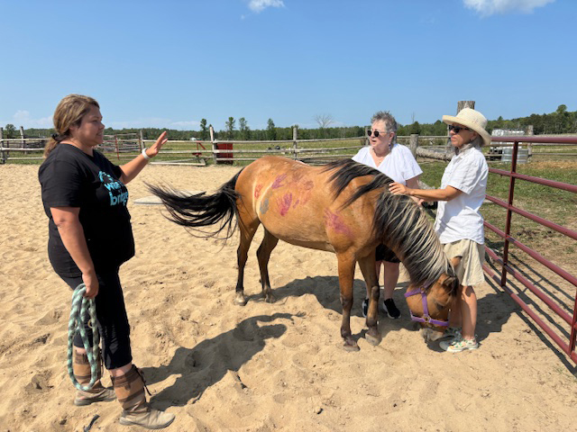 Métis Women's Circle Elder Visit to Spirit Horses