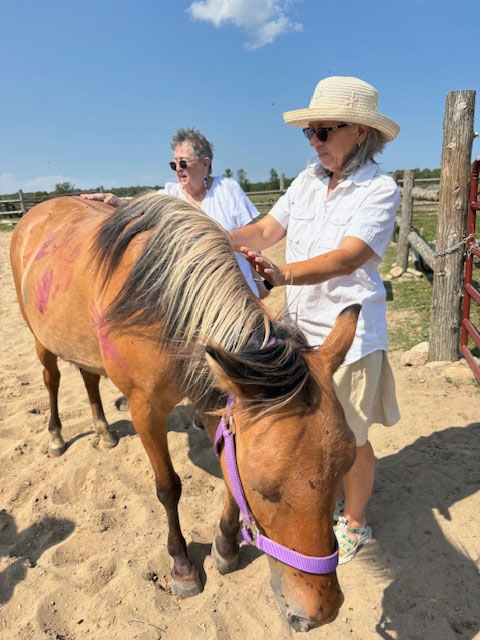 Métis Women's Circle Elder Visit to Spirit Horses