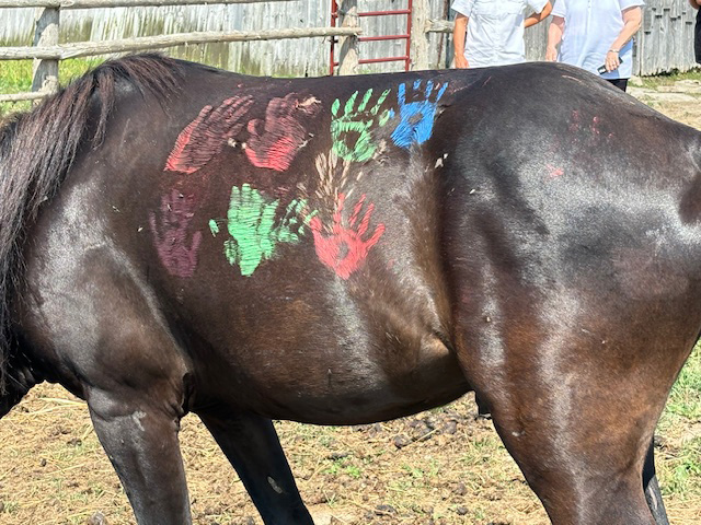 Métis Women's Circle Elder Visit to Spirit Horses