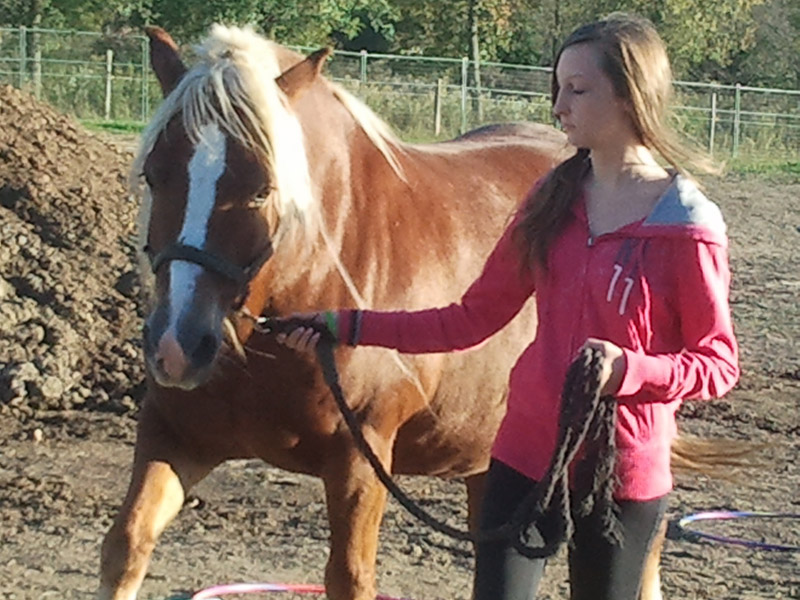 Horse Spirit Halton 2013