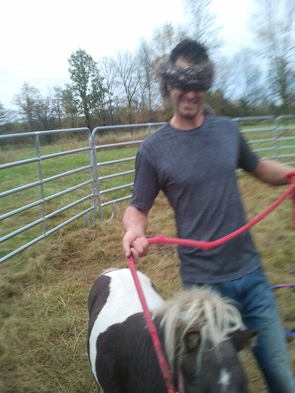 Horse Spirit Halton 2013