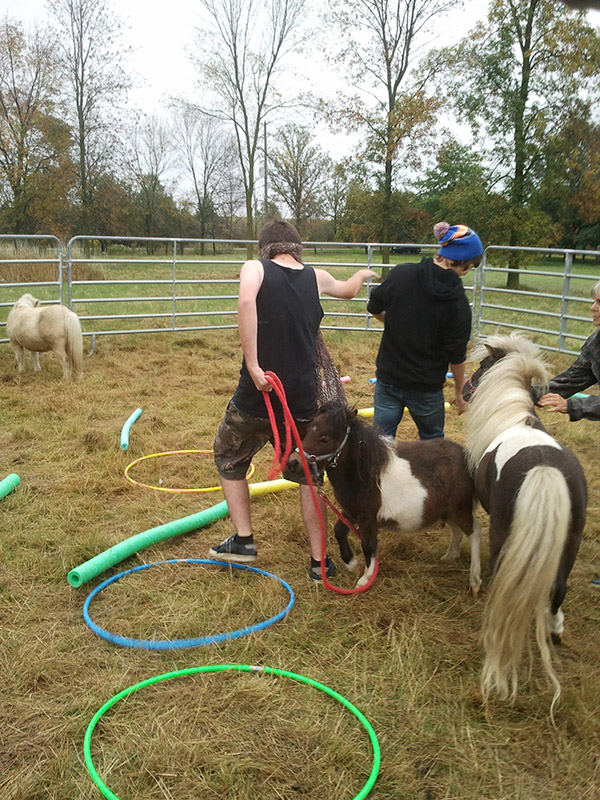 Horse Spirit Halton 2013