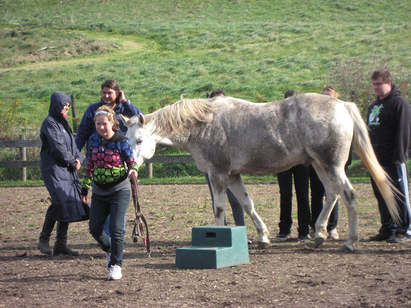 Urban Thunderbirds 2010