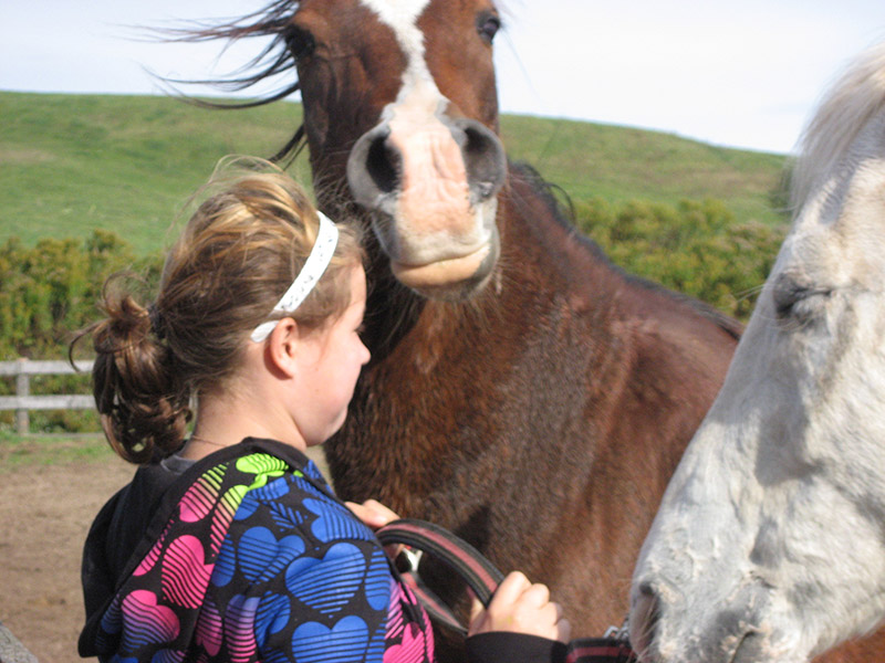 Urban Thunderbirds 2010