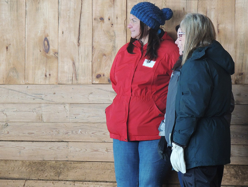 Women, Horses and Art 2014