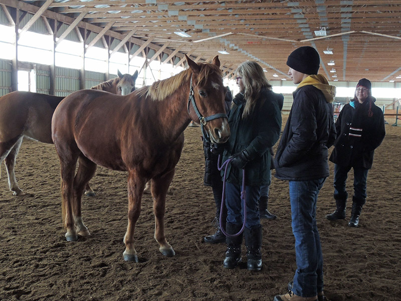 Women, Horses and Art 2014