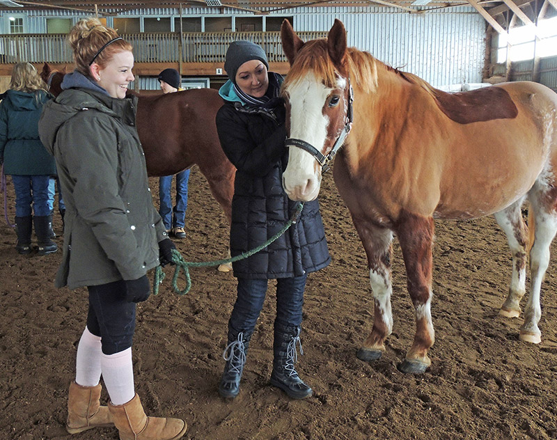 Women, Horses and Art 2014