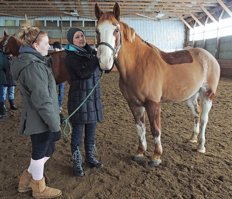 Women, Horses and Art 2014