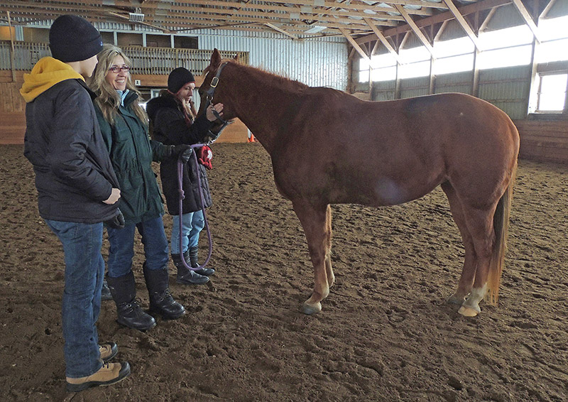 Women, Horses and Art 2014
