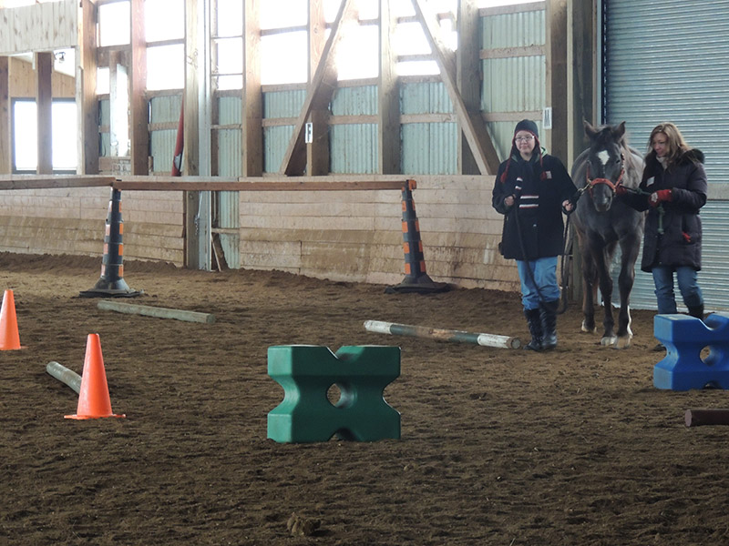 Women, Horses and Art 2014