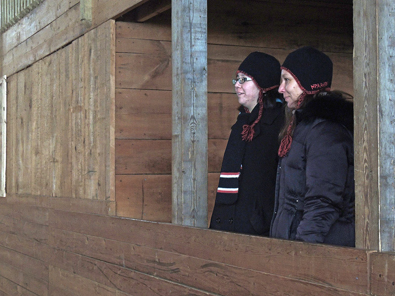 Women, Horses and Art 2014