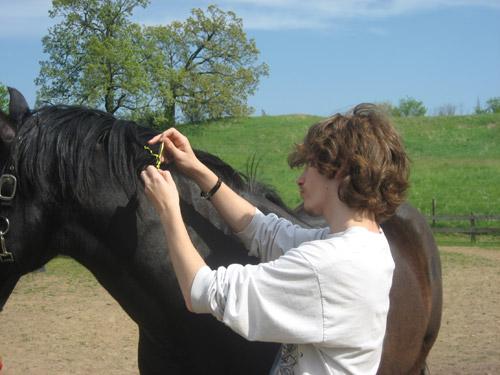 Horse Spirit and Young Men 2012