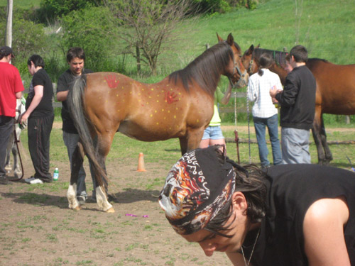 Horse Spirit and Young Men 2012