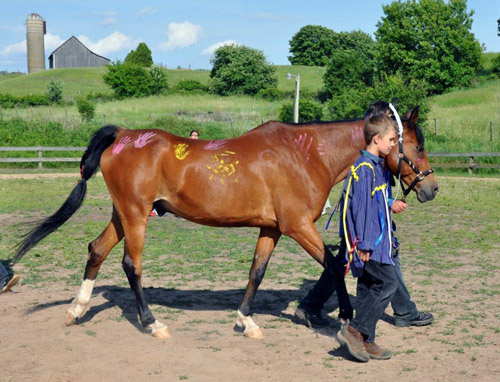 Horse Spirit and Young Men 2012