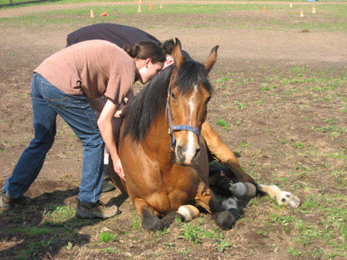 Horse Spirit and Young Men 2012