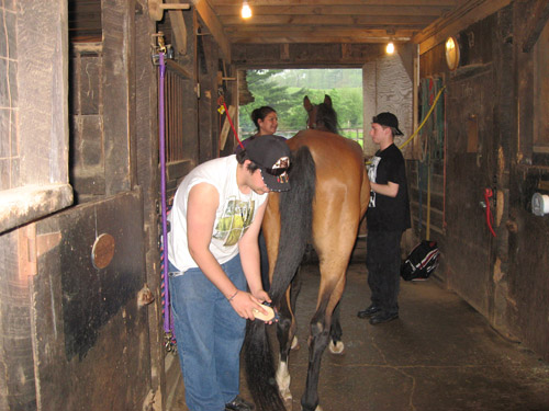 Horse Spirit and Young Men 2012