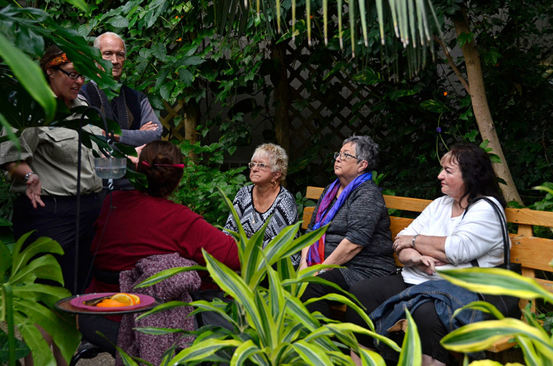 Coyote and the Laughing Butterflies - Part 1