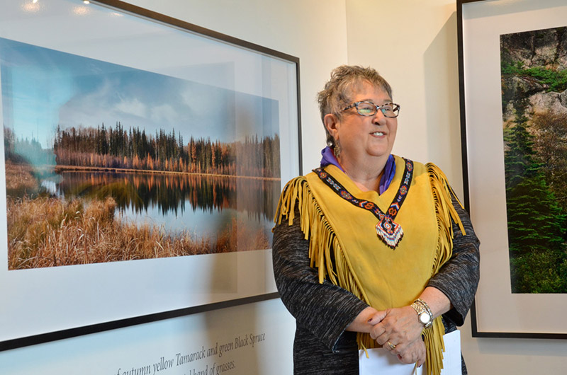 Coyote and the Laughing Butterflies - Part 1