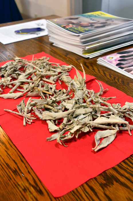 Coyote and the Laughing Butterflies - Part 4